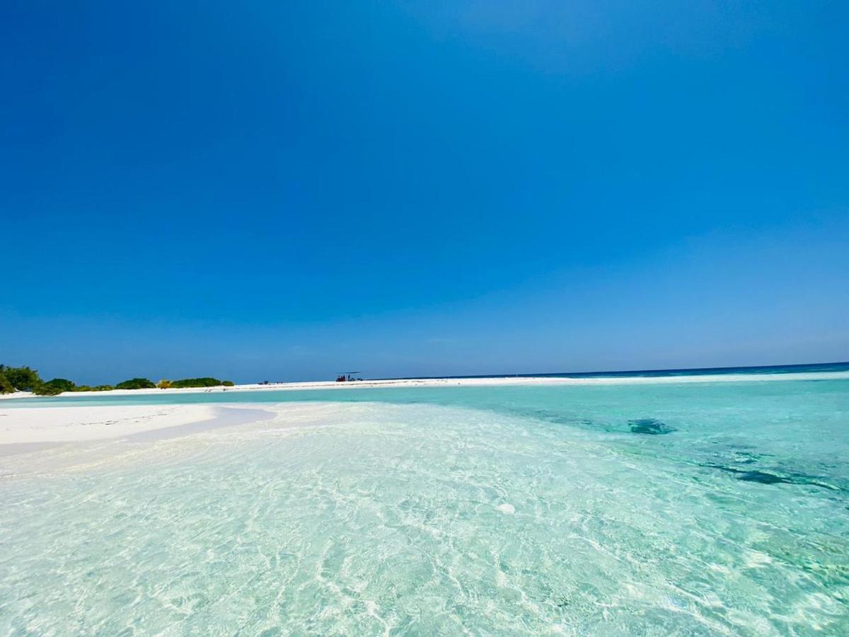 Coral Maldives