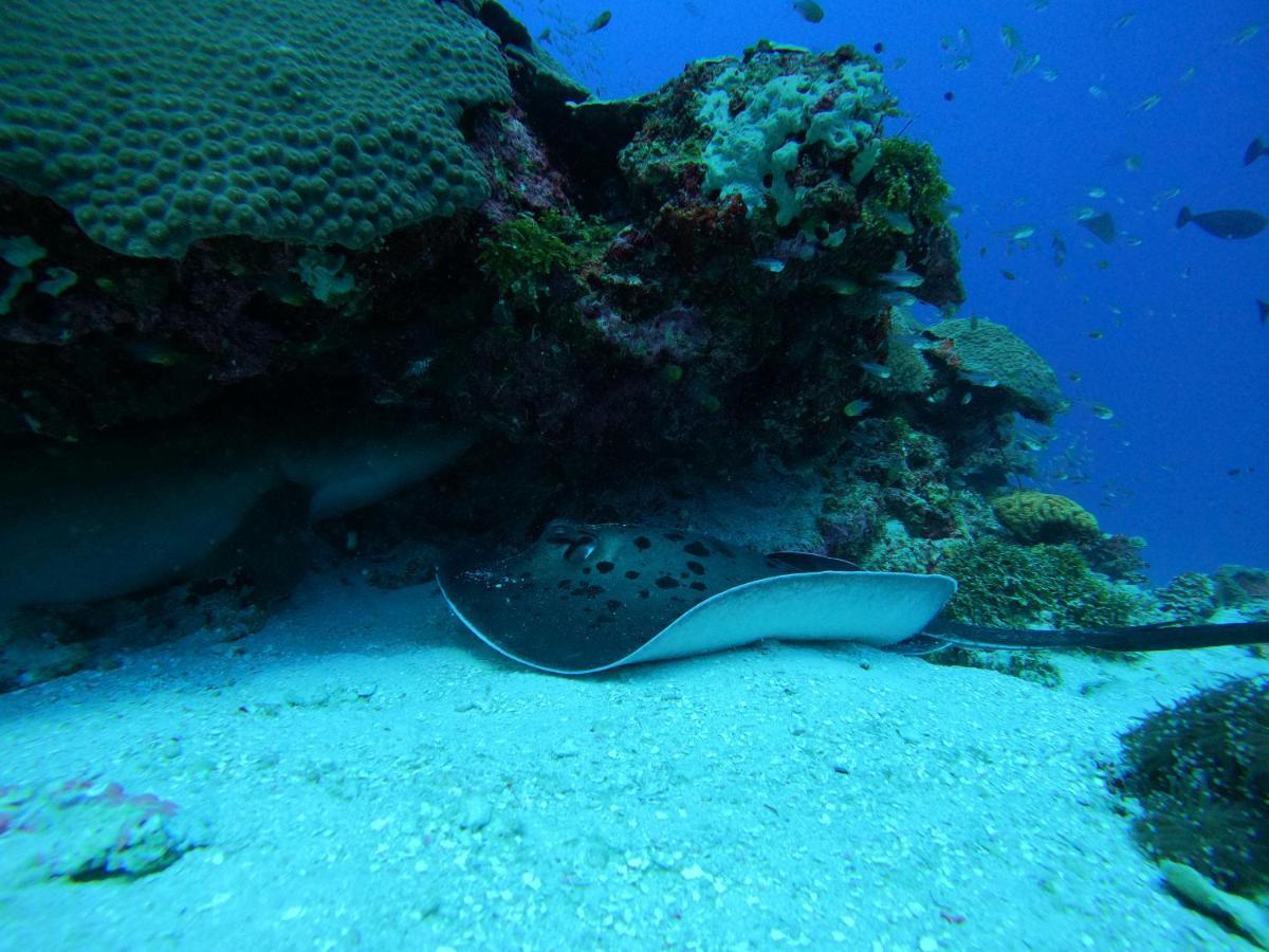 Coral Maldives Гостевой дом *